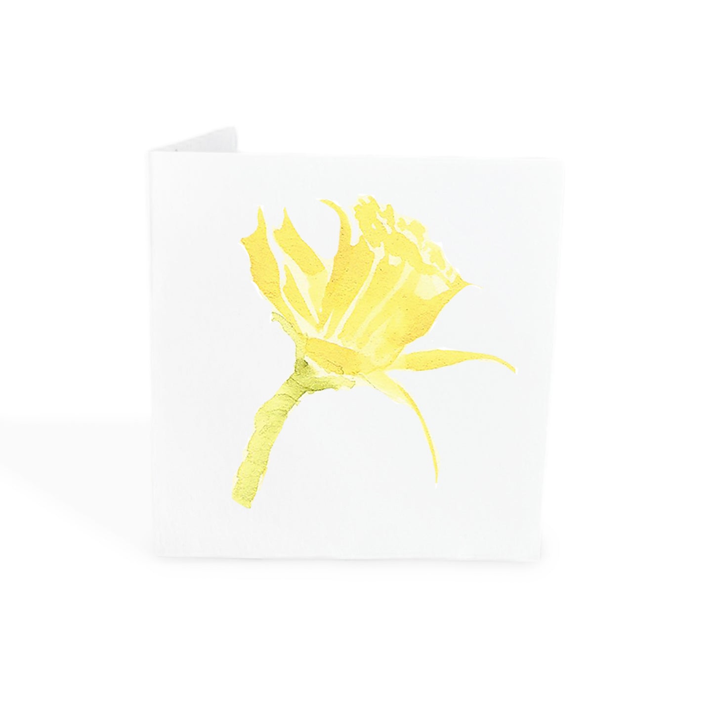 Daffodil Gift Tags