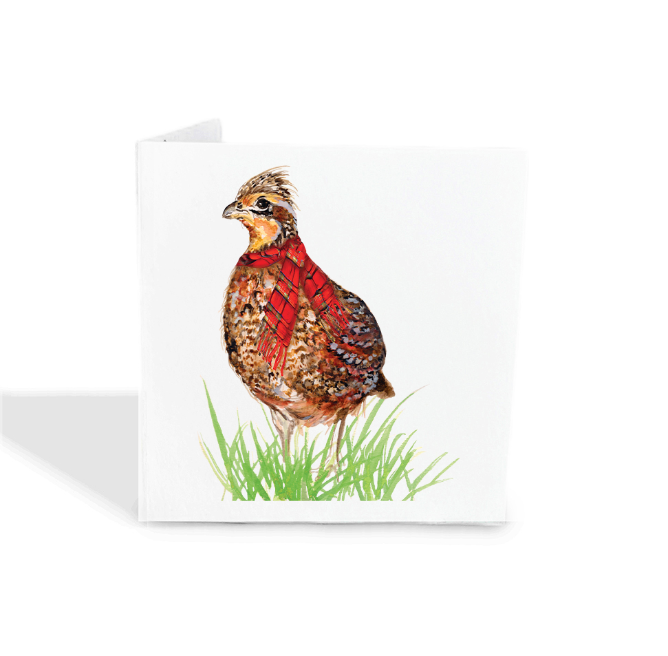 Quail Gift Tags