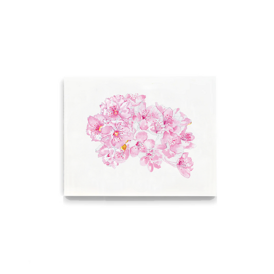 Cherry Blossoms Notecards