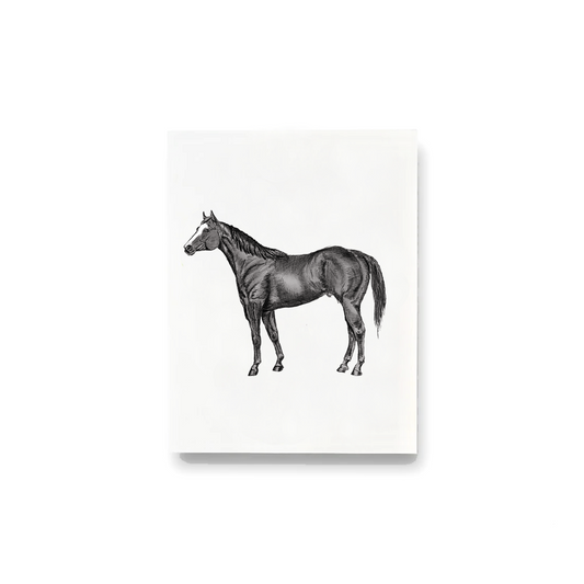 Black Horse Notecards