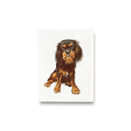 King Charles Notecards