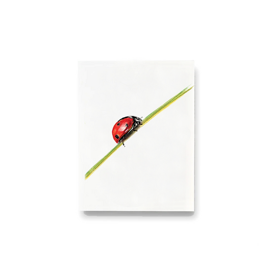 Ladybug Notecards