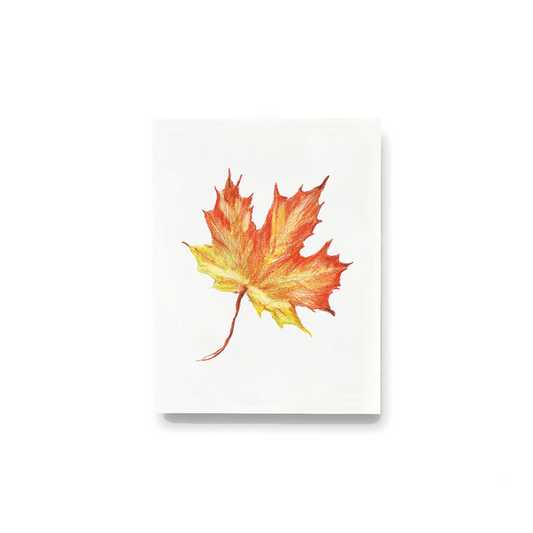 Maple Leaf Notecards