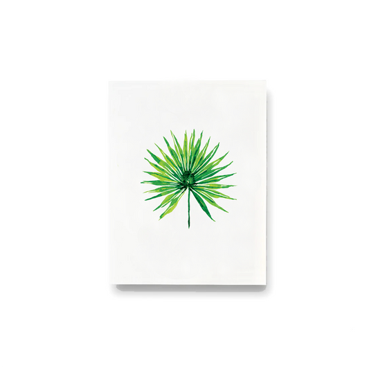 Mexican Fan Palm Notecards