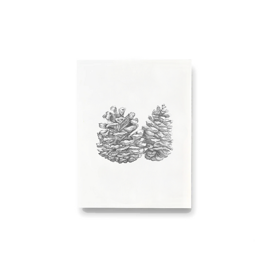 Pinecones Notecards