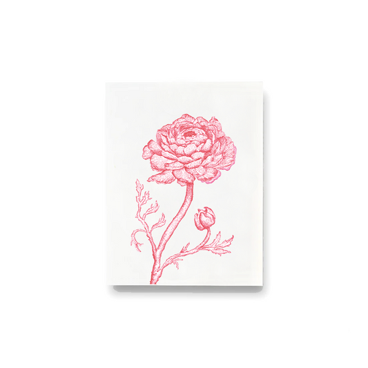 Pink Ranunculus Notecards