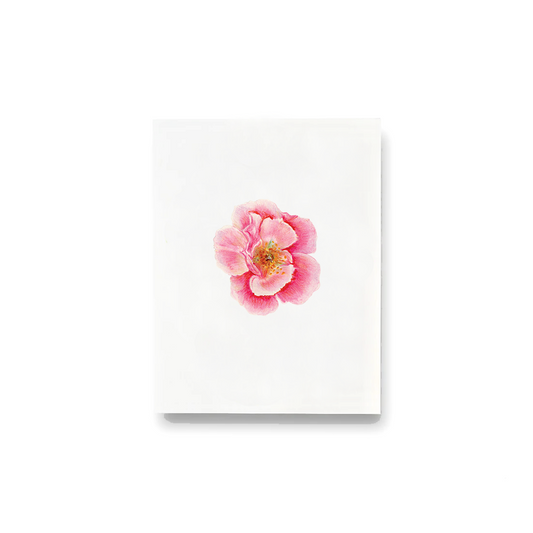 Soft Rose Notecards