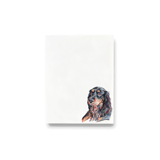 Spaniel Notecards