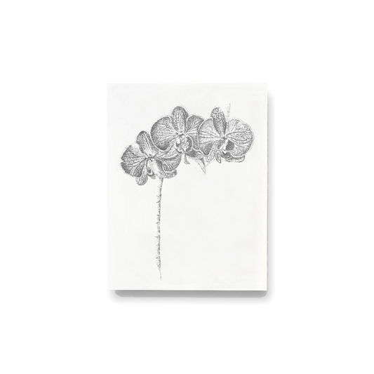 Orchid Notecards