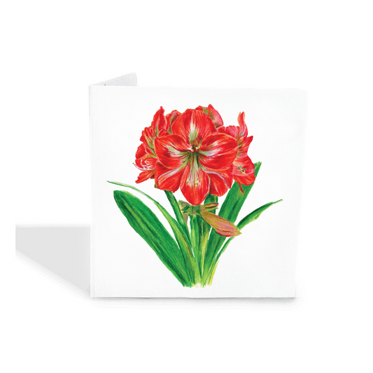 Amaryllis Gift Tags