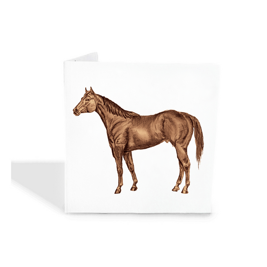 Brown Horse Gift Tags