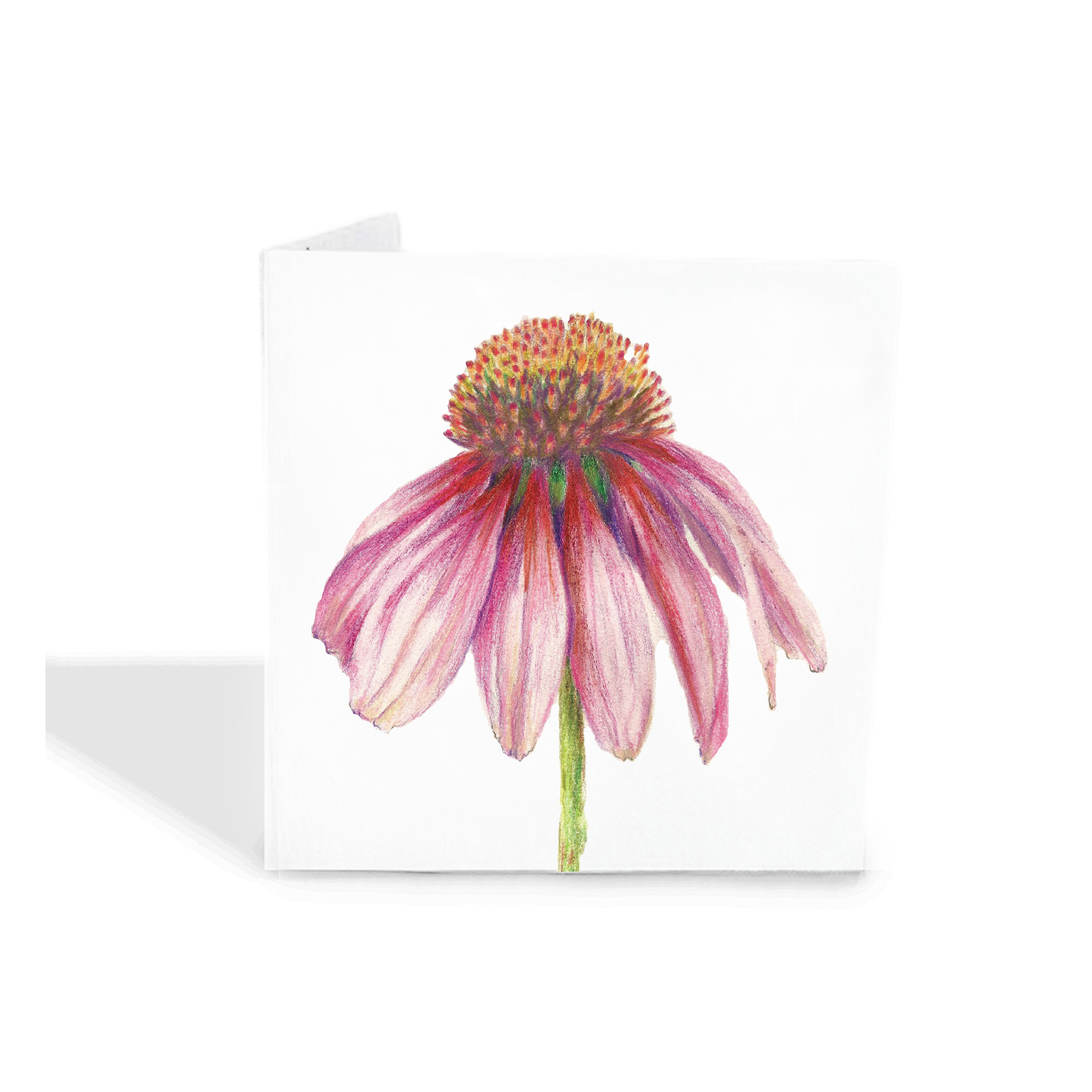 Cone Flower Gift Tags