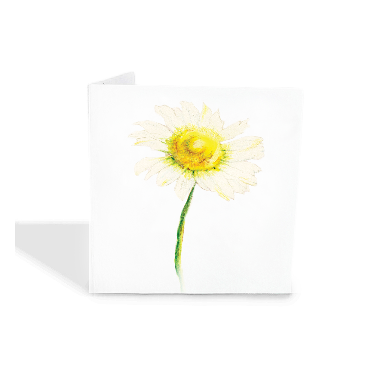 Daisy Gift Tags