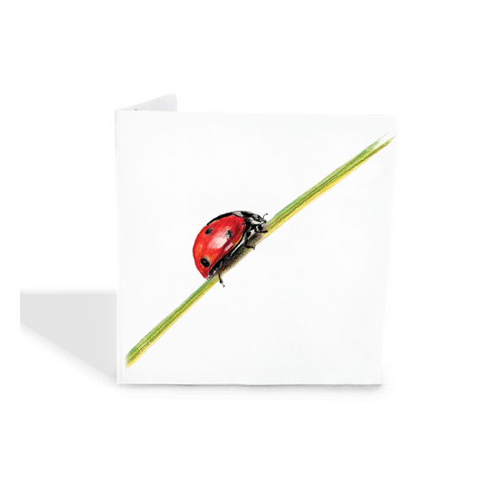 Lady Bug Gift Tags