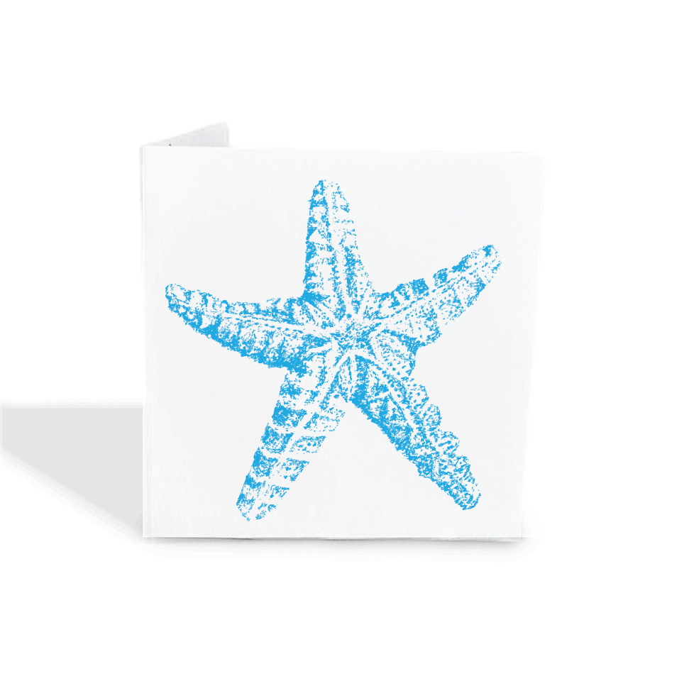 Light Blue Sea Star Gift Tag