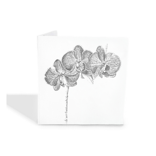 Pencil Orchid Gift Tags