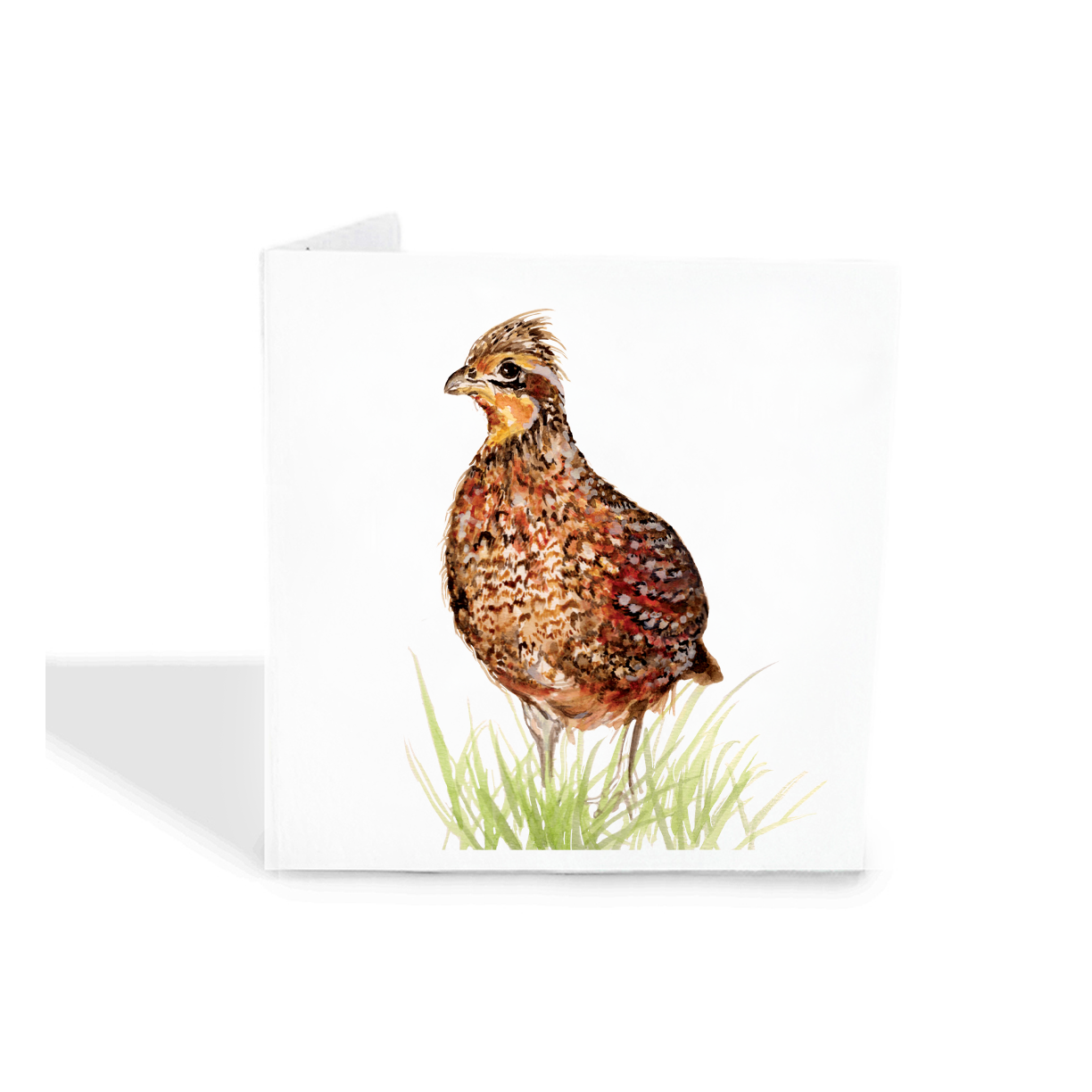 Quail Gift Tags